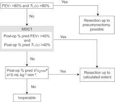 pre operative pulmonary evaluation of lung cancer patients