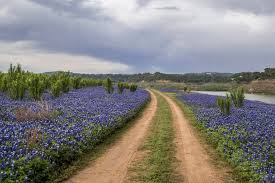 Maybe you would like to learn more about one of these? The Ten Best Spots In Texas To See Bluebonnets In 2021 Jason Weingart Photography