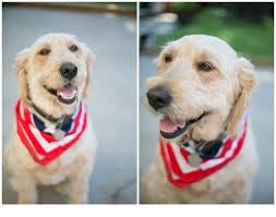 The Annual McDade Sugarfest (aka The 4th of July)