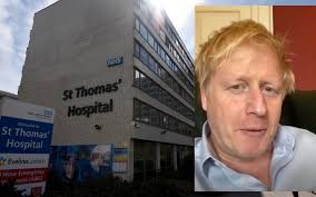 Barry Dalgleish, Author at Real Democracy Movement