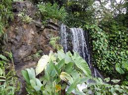 Singapore botanic gardens (botanische gärten von singapur) ist einer der wichtigsten botanischen gärten asiens.er ist 74 hektar groß und ist mit jährlich 4,2 millionen besucher der meistbesuchte botanische garten der welt. Singapur Botanischer Garten Unesco Welterbe Und Grunes Paradies