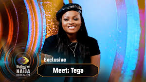 Tega's husband aj money reacts to wife's bbnaija saga instagram/ajmoney001. Meet Tega Bbnaija Big Brother Shine Ya Eye Africa Magic Youtube