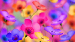 Choose from hundreds of free 4k backgrounds. Bright Desktop Wallpapers Wallpaper Cave