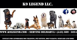Royal paws focuses on private, ground transportation throughout the country for your cat or dog. Puppy Ground Transport Services Peepsburgh