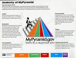 Anatomy Of Mypyramid Paper Sheet