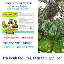 Copper gold 47WP