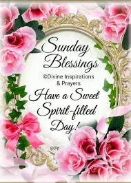  Pin By Deborah Howell On Catds Blessed Sunday Sunday Greetings Happy Sunday Quotes