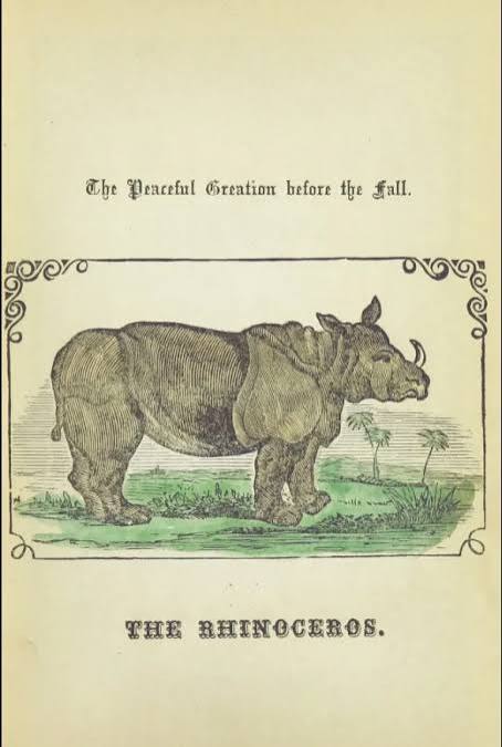Baroda 1875 L'Illustration — Rhino Resource Center