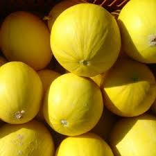 Black And Yellow Things Yellow Things Shades Of Yellow Yellow Aesthetic Yellow