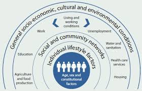 Australias Health 2016 Chapter 4 Determinants Of Health
