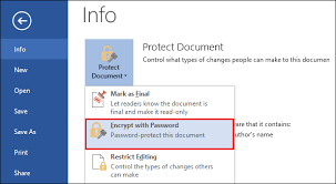 Click the protect document button to open the protect document menu. How To Password Protect Word Documents On Pc And Mac