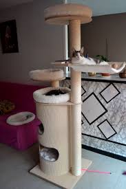 Arbre A Chat Natural Paradise Xxl Arbre A Chat Trucs De Chat Mobilier Pour Chat