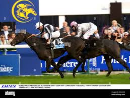 Bago horse hi-res stock photography and images