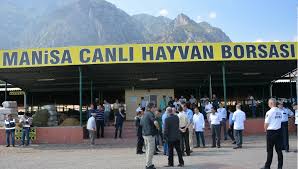 Manisa Ya Kazandirdiklarimiz Manisa Ticaret Borsasi Canli Hayvan Pazari Manisa Ticaret Borsasi Resmi Web Sitesi