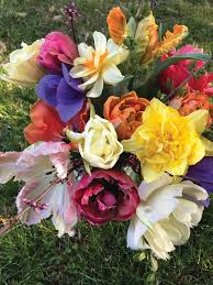I am a military spouse, mom to 3 young boys, and a constant creator. Can T Miss Happenings In Baltimore This Month