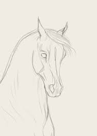 Drawingfusion Com In 2021 Horse Drawings Horse Art Drawing Horse Face Drawing