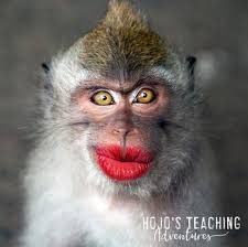 Jika informasi seputar foto monyet nyengir ini bermanfaat bagi kalian semua, jangan sungkan berbagi dengan teman teman kalian di facebook, twitter dan google plus. Funny Picture Writing Prompts Hojo S Teaching Adventures Llc Monkeys Funny Funny Animals With Captions Funny Pictures