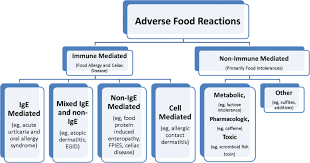Classification Of Adverse Reactions To Food Adapted From Sampson Et Download Scientific Diagram