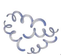 Image result for Treponema