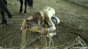 Russian horse porn