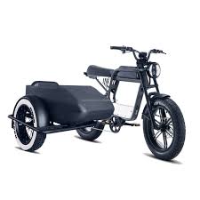 Image result for bicycle sidecar