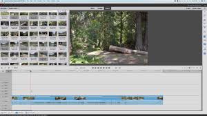 This is a trial version that can be used for 30 days. Adobe Premiere Elements 2020 Review Digital Camera World