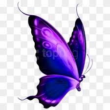 For your convenience, there is a search service on the main page of the site that would help you find images similar to transparent background butterfly clipart png with nescessary type and size. Free Png Download Transparent Blue And Purple Deco Transparent Background Butterfly Clipart 1380052 Pikpng