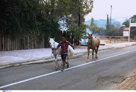 Αναζήτηση σημείου εξυπηρέτησης (με ελληνικούς χαρακτήρες) δίκτυο σταθμών εξυπηρέτησης speedex Pqvcuu4oc7jmpm