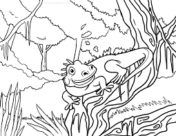 Using the computer mouse and problem solving skills. Printable Iguana Coloring Pages For Kids