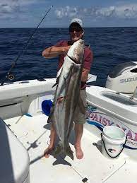 Check spelling or type a new query. Cobia Daisy Mae Fishing Charters Facebook