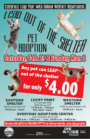 Finalize the adoption process either at a petsmart near you or at your local shelter. Leap Out Of The Shelter Pet Adoption Event Set Albuquerque Journal