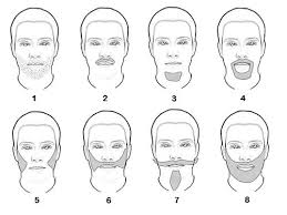 Facial Hair Wikipedia