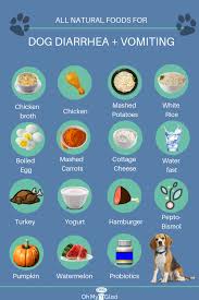 Maybe you would like to learn more about one of these? What Dog Owners Ought To Know About Dog Food Allergy Diet Foods Dogs Can Eat Dog Food Recipes Dog Food Allergies