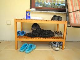 Ich suche schon seit längerem nach einer art ausguck/aussichtsplattform für meinen hund, weil da ich soetwas spezielles nirgends finden konnte, habe ich nach einem hochbett für hunde geschaut. Das Hunde Hochbett Www Sonnenpudel De
