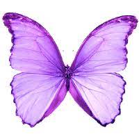 Png Borboletas Borboletas Desenho Asas De Borboleta Borboleta Png