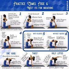 How do camels adapt to their environment? Pin Auf Yoga