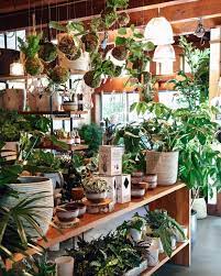 Grateful For These Bright Crisp Fall Days In Our Little Shop Garden Center Displays Plants House Plants Decor