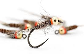 Troutline Orange Hot Spot Bh Pheasant Tail Nymph