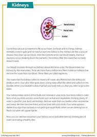Primaryleap Co Uk Science Worksheet Reading Comprehension With Interesting Facts About The Kidne Reading Tutoring Reading Worksheets Ielts Writing Academic