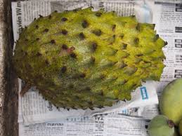 Nama saintifik bagi dukung anak. Durian Belanda Year Of The Durian