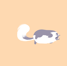 Chelseadrewthis Here Is A Quick Fluffy Cat Gif For This Not So Fluffy Cat Gif Kinda Day Cat Gif Cute Cat Gif Cute Cat Gif Animation