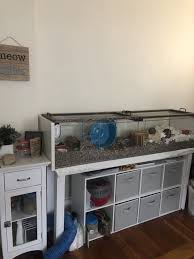 Ikea Detolf Hamster Cage Setup Diy Lid Ikea Detolf Skinny Console Entryway Table For Extra Support Target Cubby Stor Ikea Detolf Hamster Cage Cubby Storage