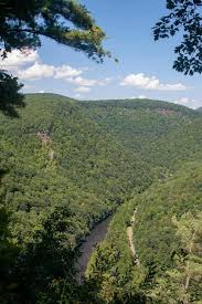 We did not find results for: Exploring The Pennsylvania Grand Canyon S Trails Vistas And Waterfalls