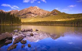 35 Wallpapers Themes For Your Desktop The Jotform Blog We have 54+ background pictures for you!