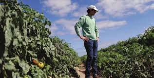 Allegiant buys into bailout amid massive losses