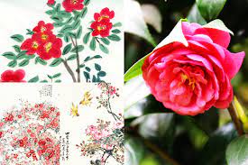 Poetic Beauty 10 Most Significant Flowers In China