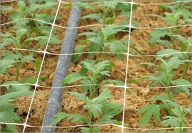 Get outdoors for some landscaping or spruce up your garden! Plastic Trellis Netting For Climbing Vegetables And Plant Support