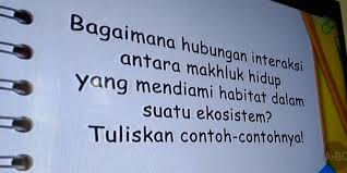 Dalam membuat surat undagan resmi ada beberapa hal yang perlu diperhaitikan terkaitan komponen bagian surat undangan dan urutannya. Soal Dan Jawaban Belajar Dari Rumah Tvri 21 April Kelas 4 6 Sd Halaman All Kompas Com
