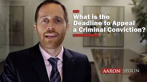 What is the Deadline to Appeal a Criminal Conviction?