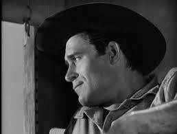 joke about a buffalo